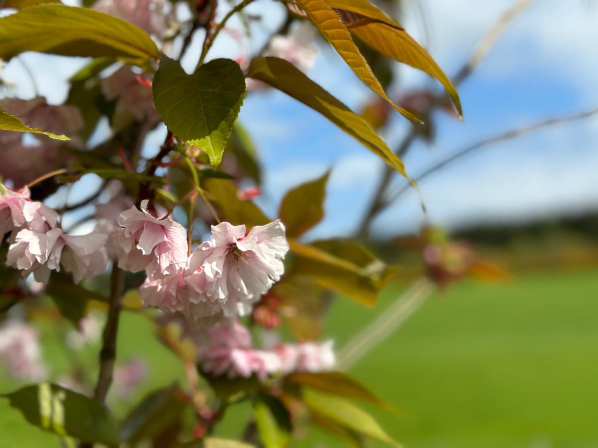 Awakening Alchemy Retreat Centre Bed and Breakfast Inverurie Buitenkant foto