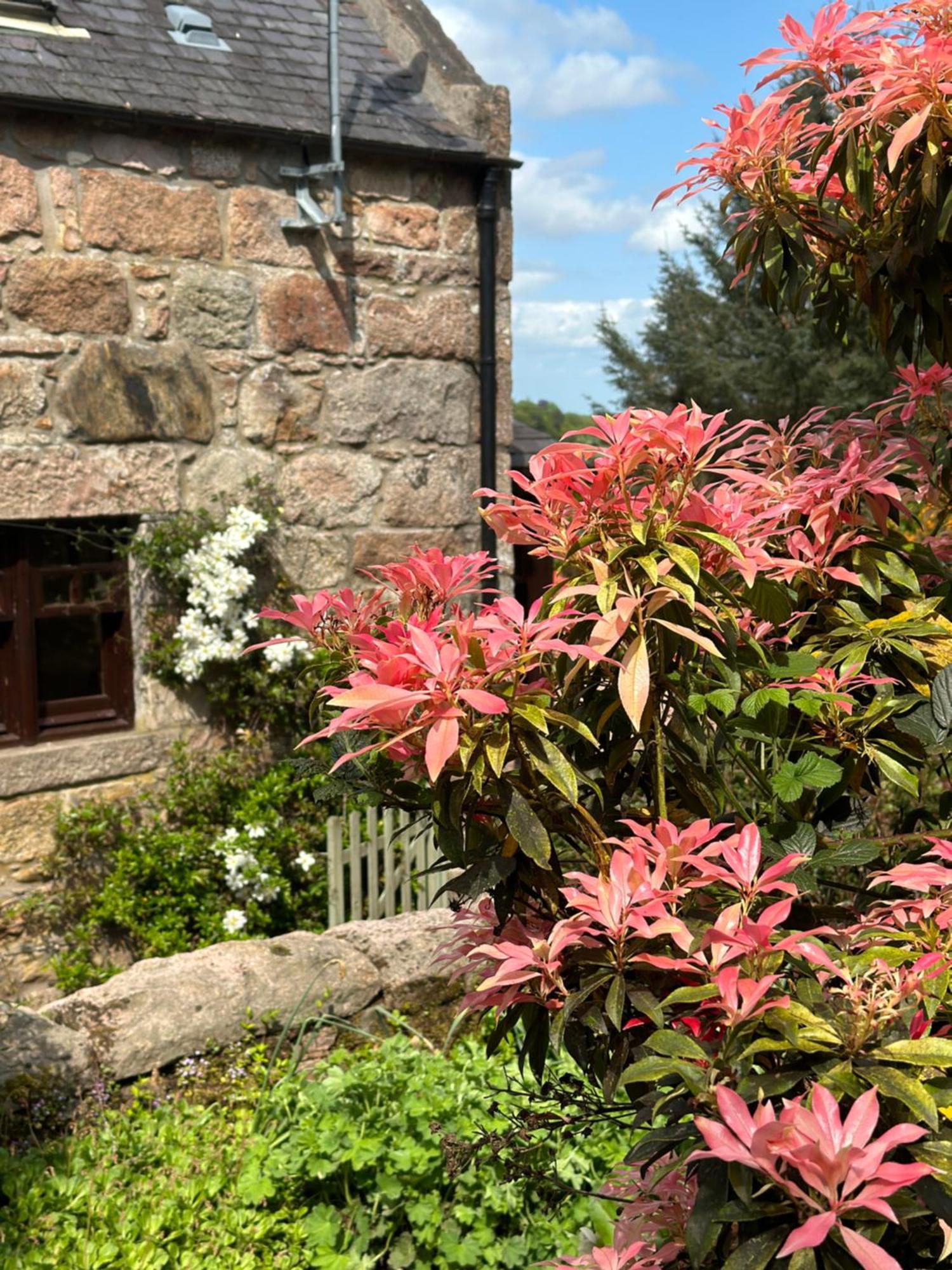 Awakening Alchemy Retreat Centre Bed and Breakfast Inverurie Buitenkant foto