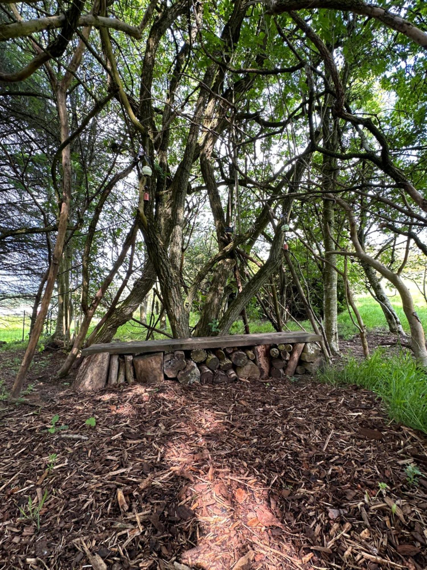 Awakening Alchemy Retreat Centre Bed and Breakfast Inverurie Buitenkant foto
