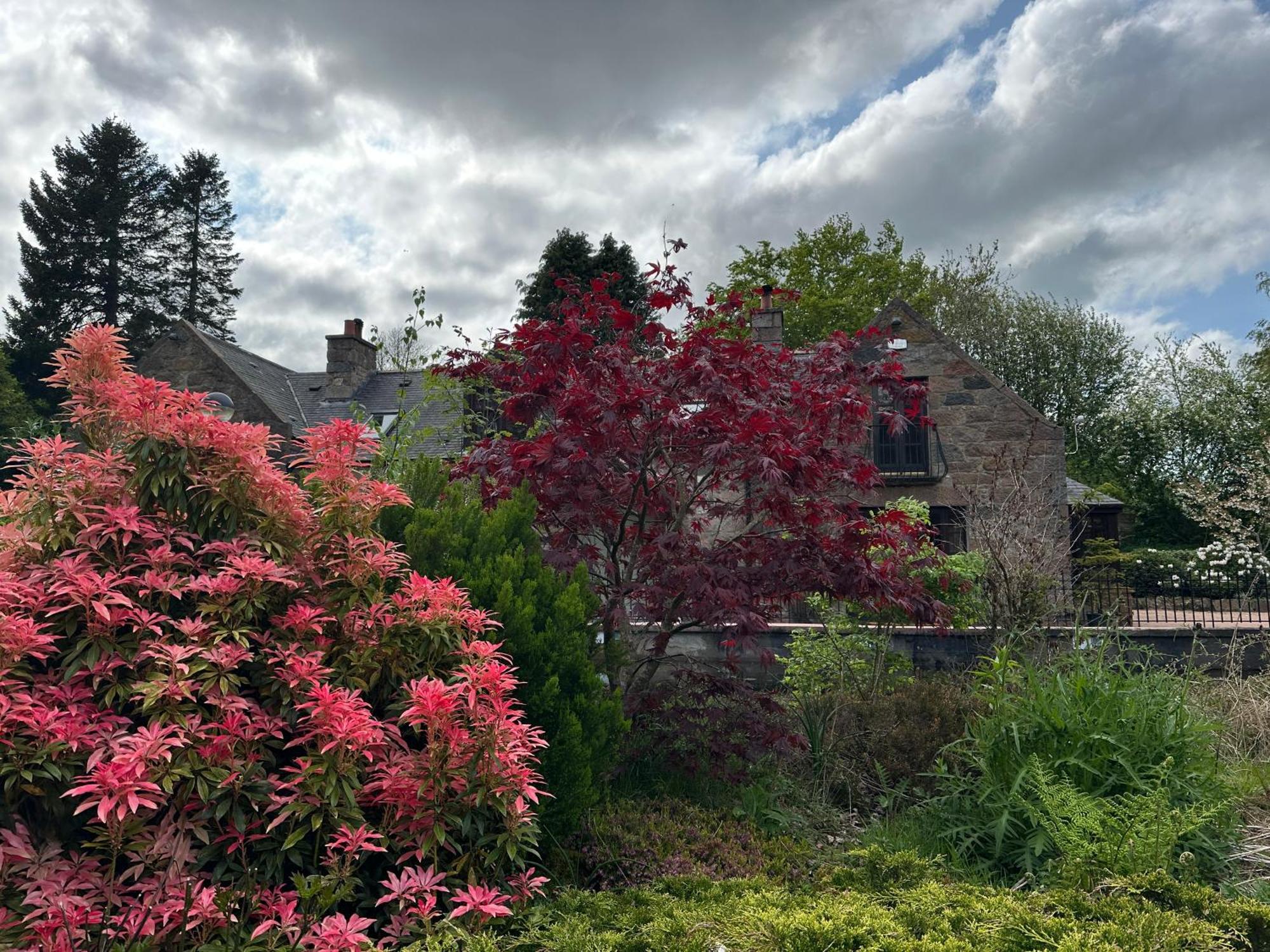 Awakening Alchemy Retreat Centre Bed and Breakfast Inverurie Buitenkant foto
